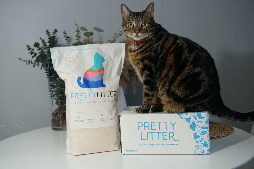 Pretty Litter Pros and Cons